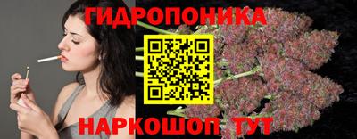 spice Можга