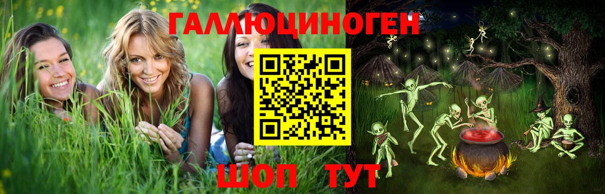 Холмск  Псилоцибиновые грибы GOLDEN TEACHER  Вход с VPN 