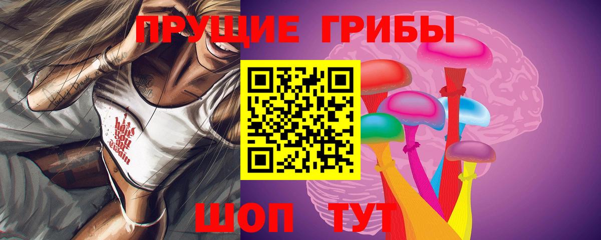 Псилоцибиновые грибы Psilocybine cubensis Холмск